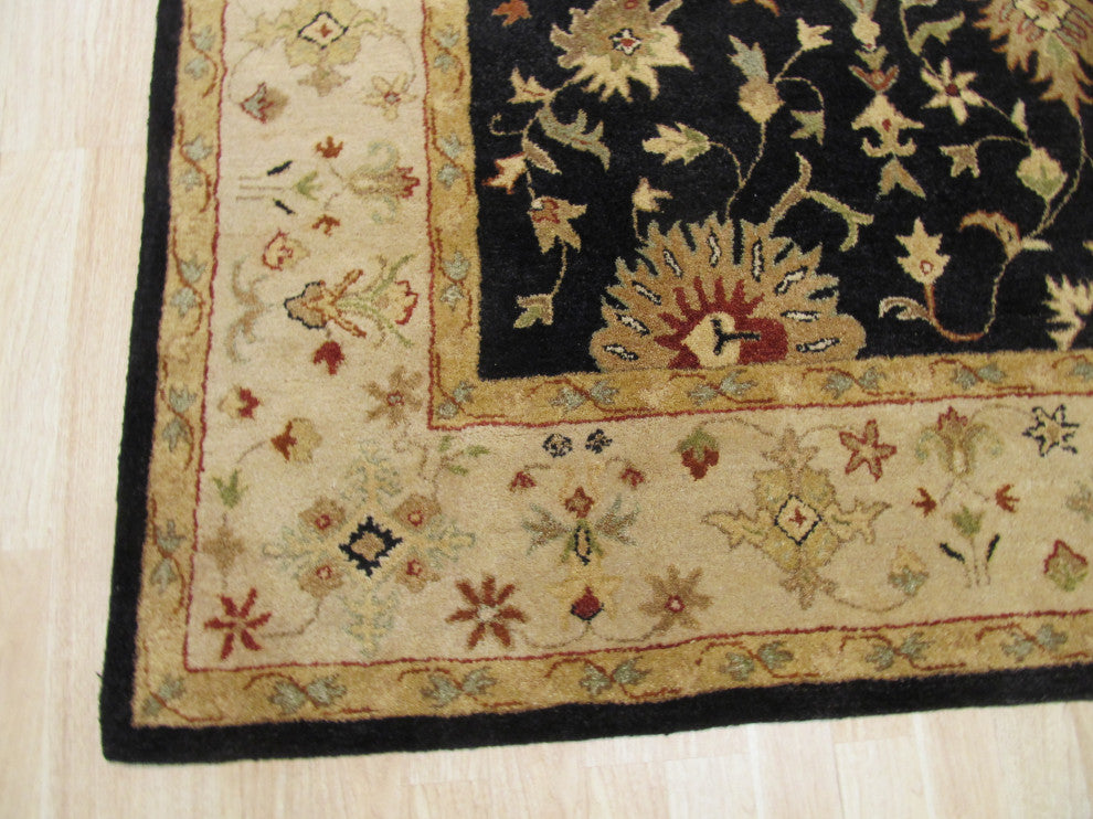 Black Traditional Oriental Agra Area Rug