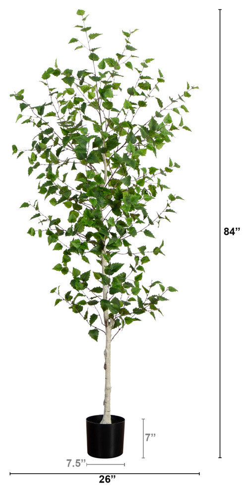 White background with measurement lines; appears as a technical diagram.