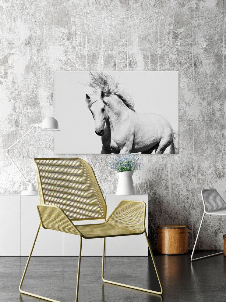 "Glorious Stallion" Art Print, 152x101 cm