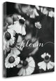 "Bloom" By Laura Marshall, Giclee Print on Gallery Wrap Canvas, Ready to Hang
