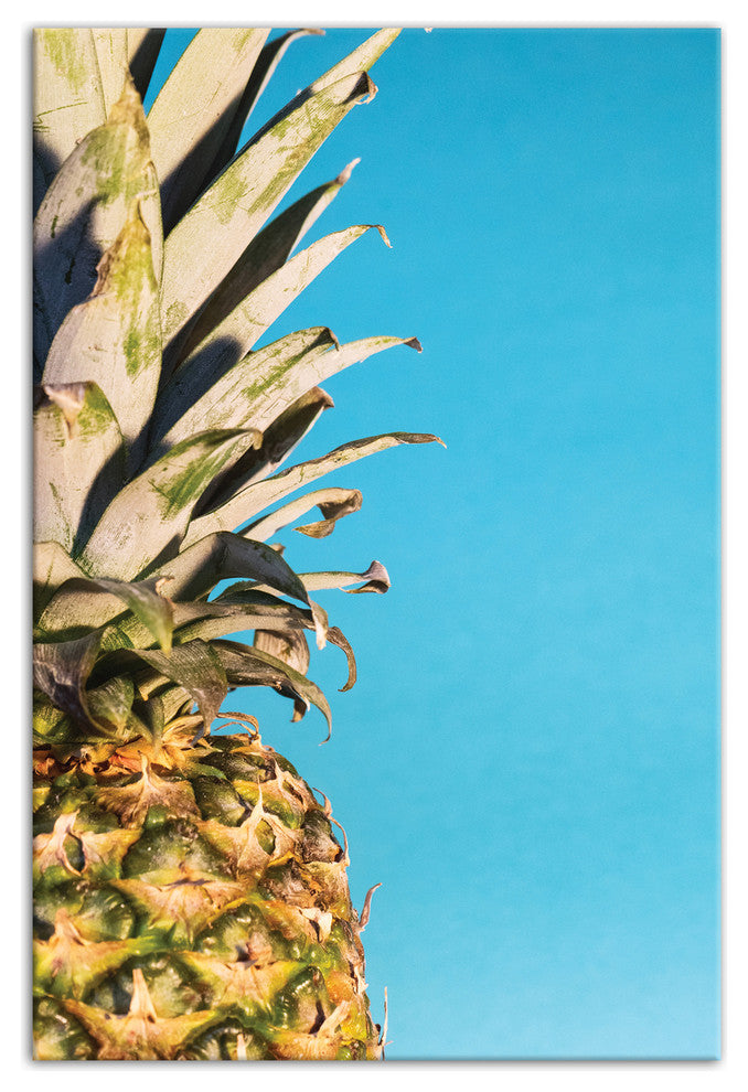 Large Pineapple Blue 16x24 Canvas Wall Art
