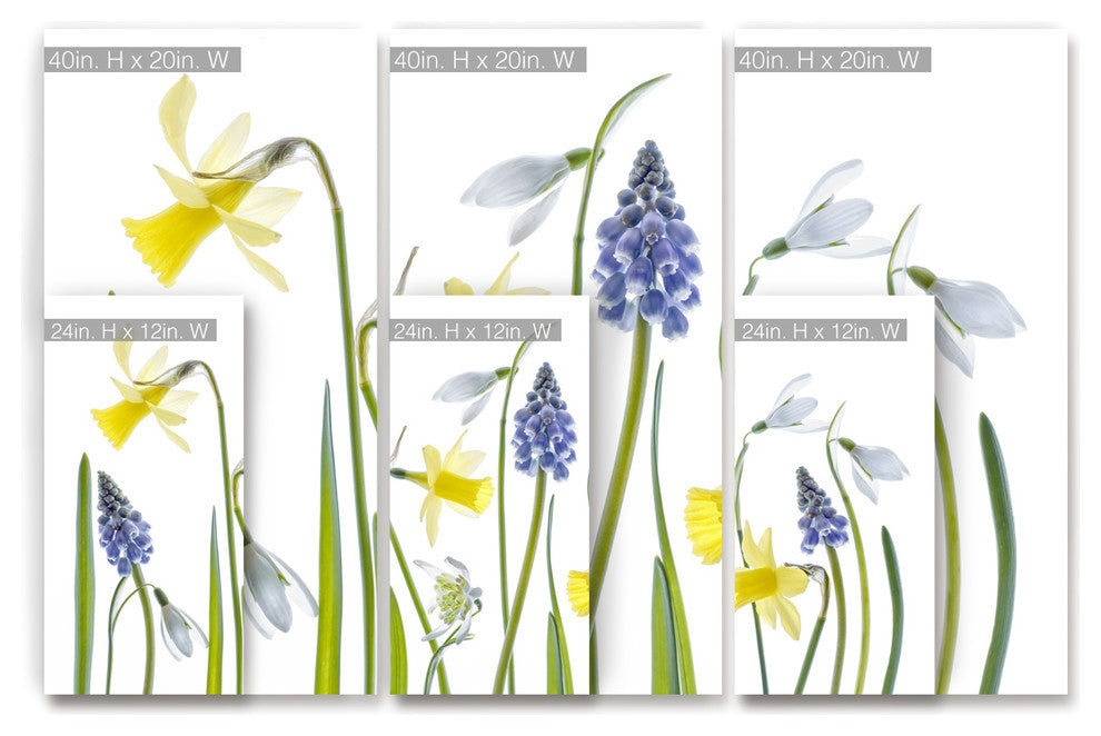 Ready2HangArt ''Spring'' 3-Piece Canvas Wall Decor Set, 60"x40"