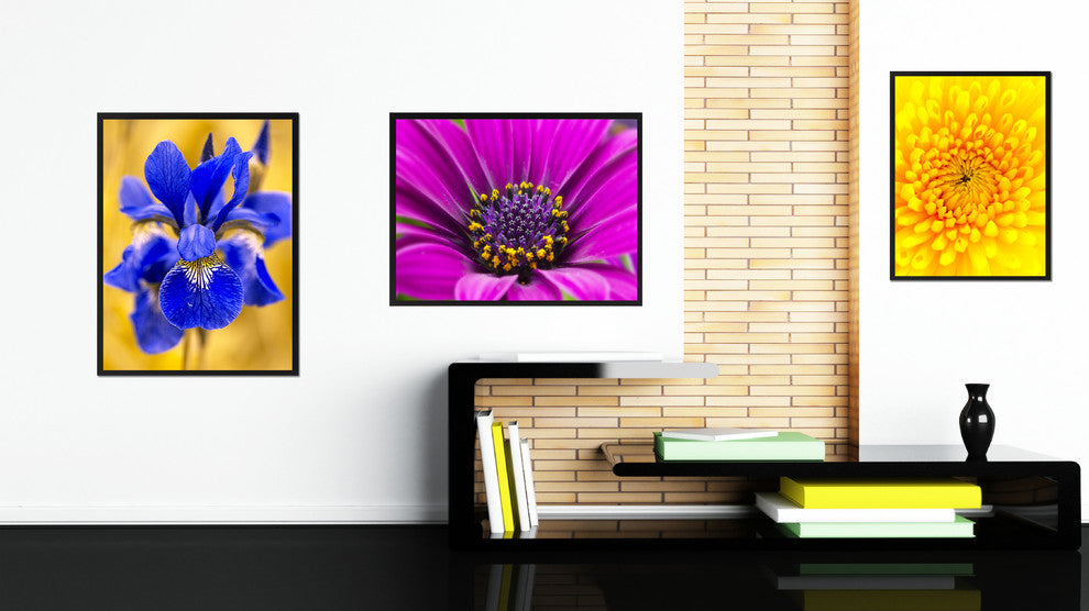 Purple Gazania Flower Print on Canvas with Picture Frame, 22"x29"