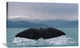 "Sperm Whale Tail" Artwork, 36" x 24"