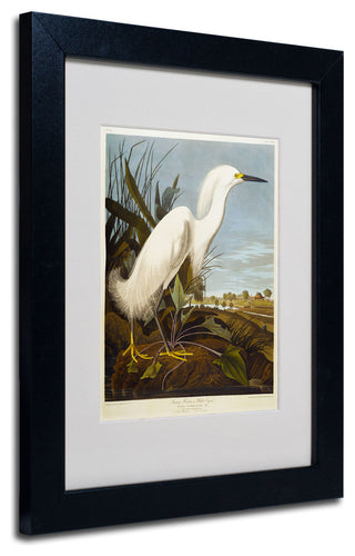 'Snowy Heron' Matted Framed Canvas Art by John James Audubon