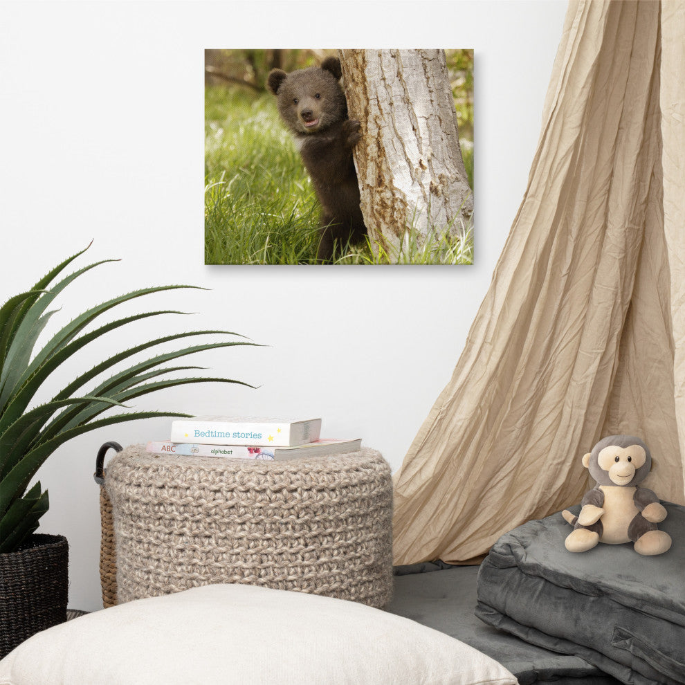 Baby Grizzly Bear Cub Behind Tree In Meadow Wildlife Photo Canvas Wall Art Print, 16" X 20"