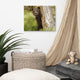 Baby Grizzly Bear Cub Behind Tree In Meadow Wildlife Photo Canvas Wall Art Print, 16" X 20"