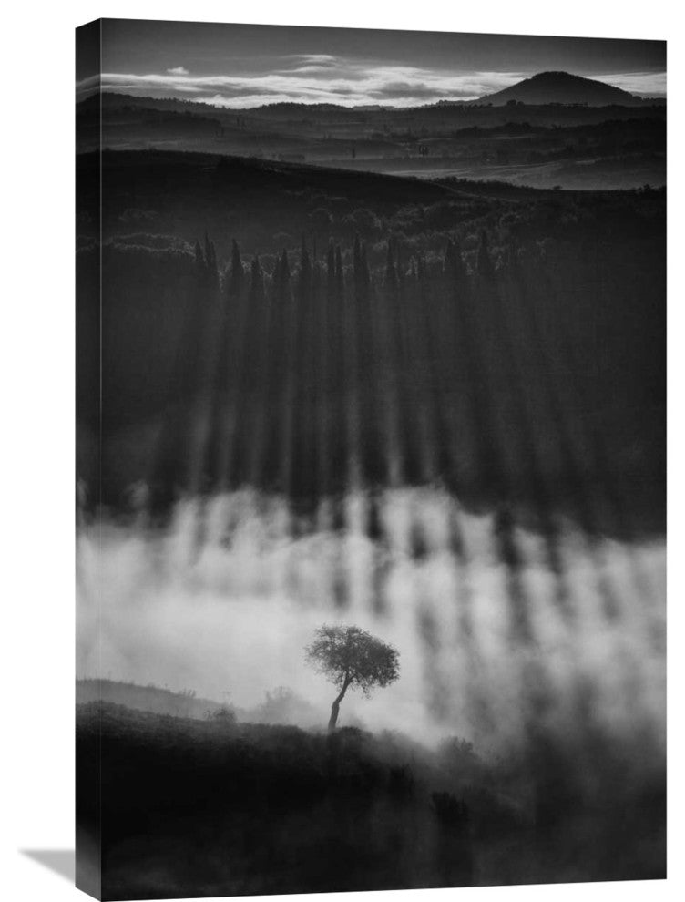 "Rising Up" Stretched Canvas Giclee by Peter Svoboda, 20x30"