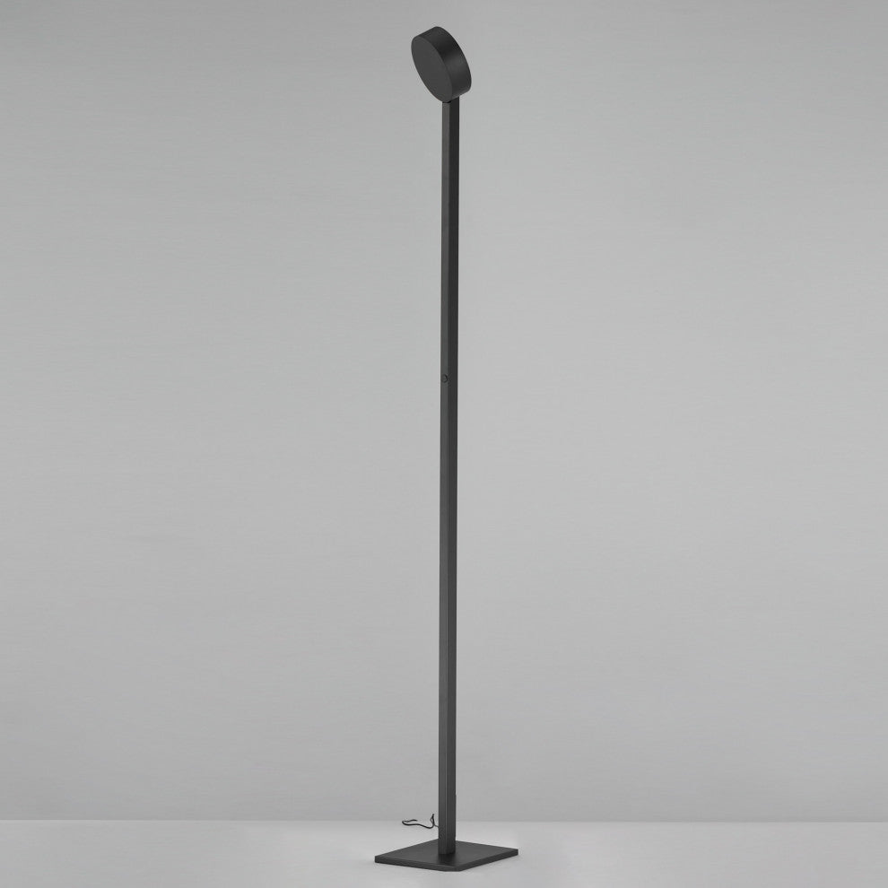 ET2 E30529 Embrace 65" Tall Spotlight Floor Lamps - Black