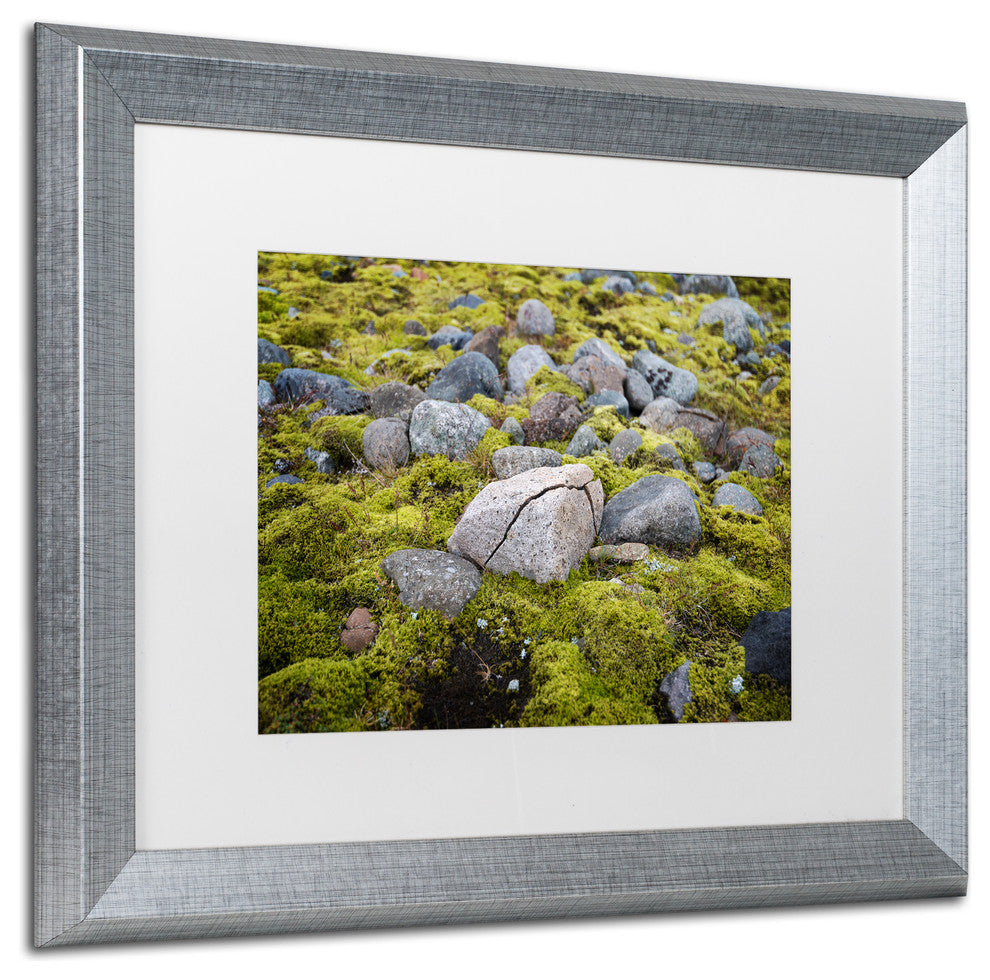 Philippe Sainte-Laudy 'Ancestry' Matted Framed Art