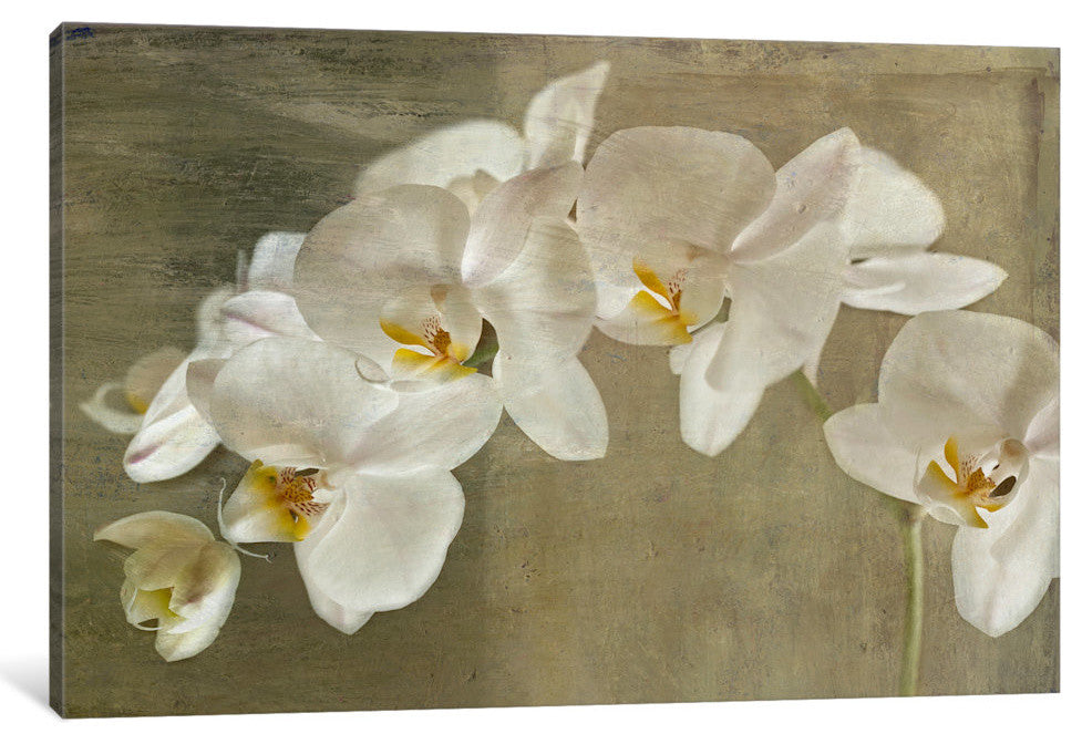 "Painted Orchid" Wrapped Canvas Art Print, 40x26x1.5