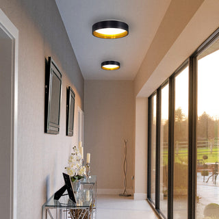 LED Ceiling Light With Black and Gold Finish and White Plastic Diffuser