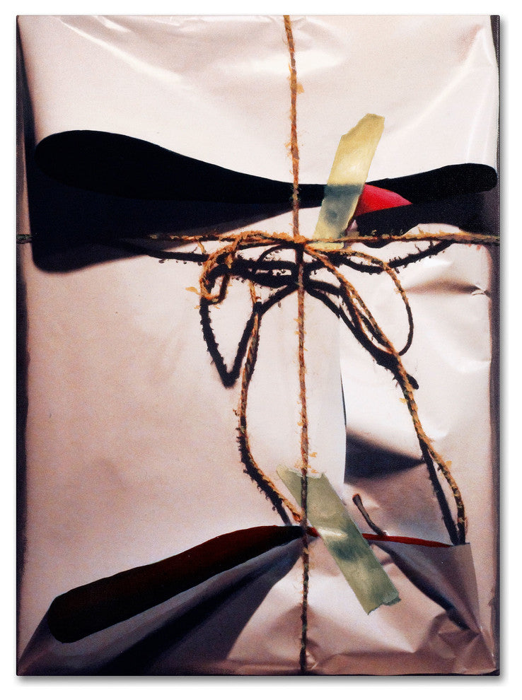 'White Wrap with Twine' Canvas Art by Roderick Stevens