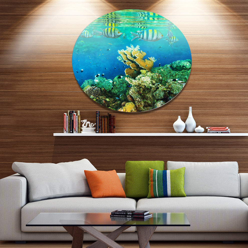 Fantastic Red Sea Coral Fish, Seashore Round Wall Art, 23"