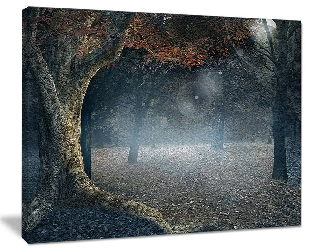 "Big Trees in Dark Foggy Forest" Canvas Print, 20"x12"