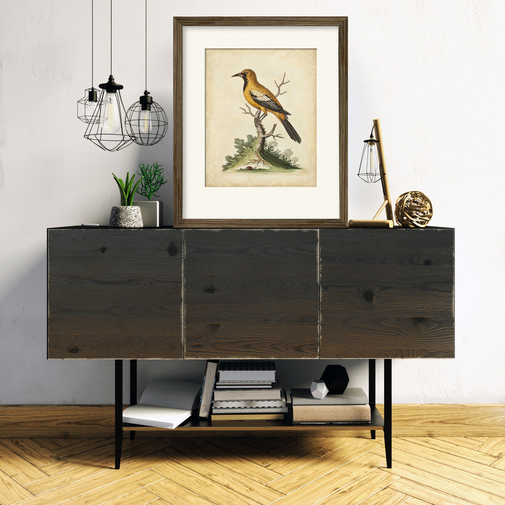 "Edwards Gold Finch" Gallery Collection Framed Art, 16"x20"