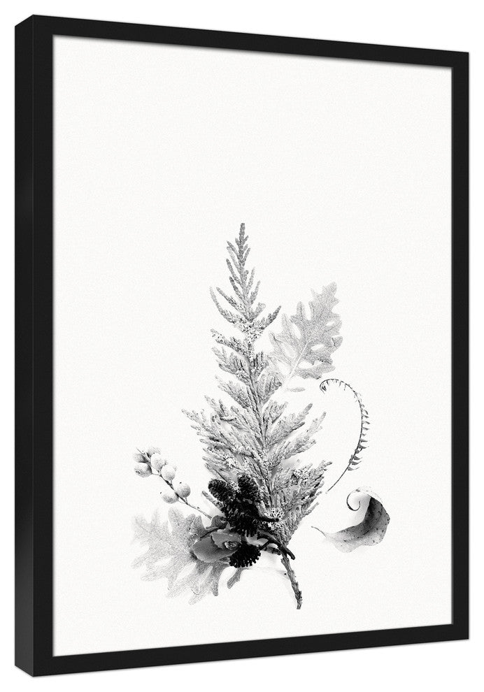 Black and White Transparent Fern 20x30 Black Framed Canvas