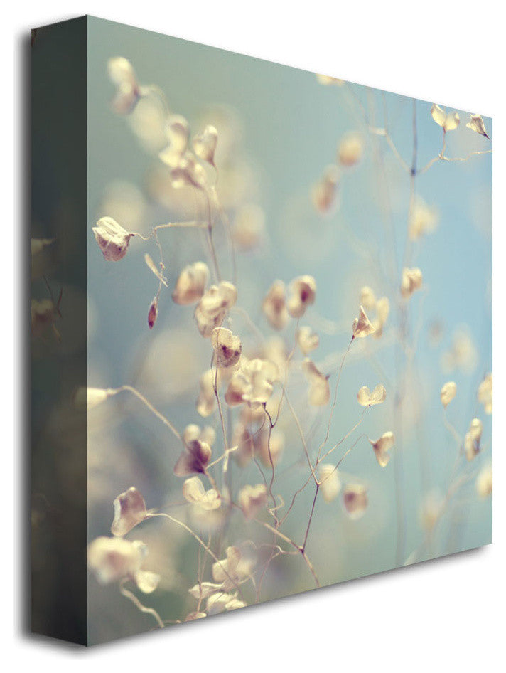 'Little Secrets' Canvas Art by Beata Czyzowska Young