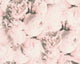 Floral Textured Wallpaper, Peony Flowers, 373982, Pink Rose Beige, 1 Roll