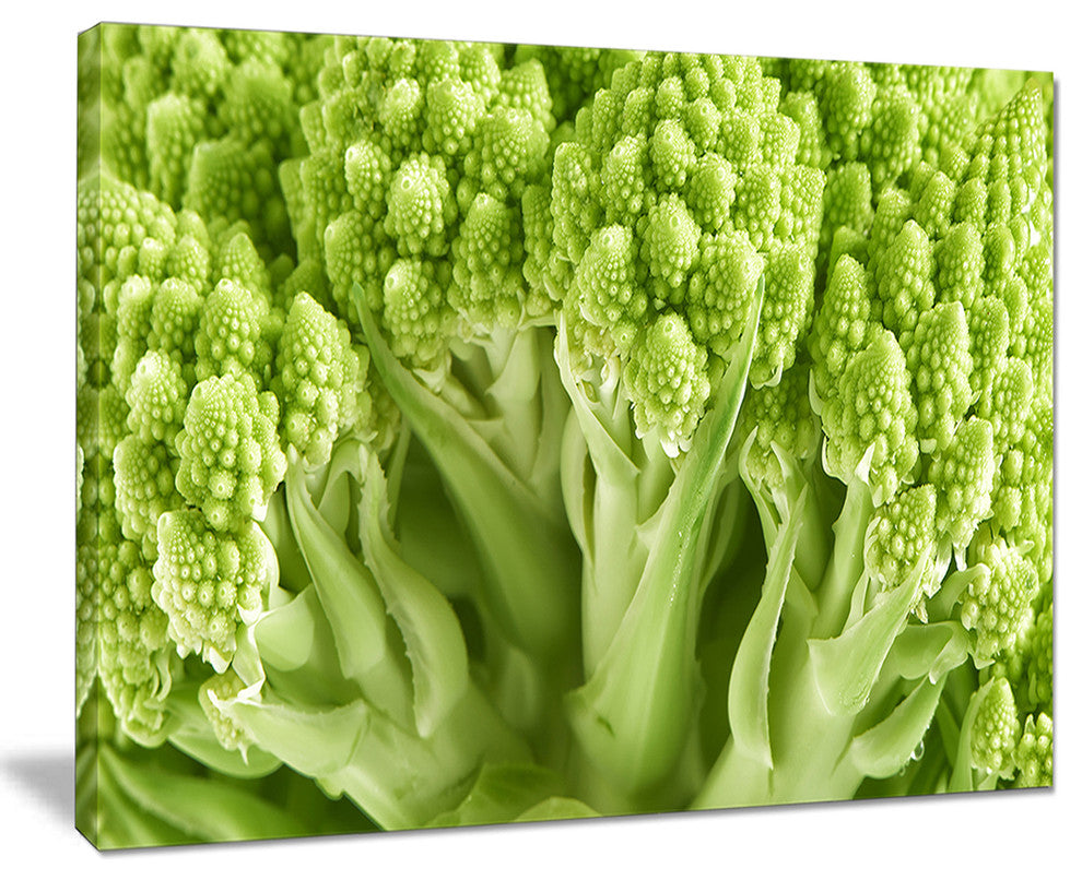 "Fresh Green Romanesco Florets" Floral Canvas Photo Print, 40"x30"
