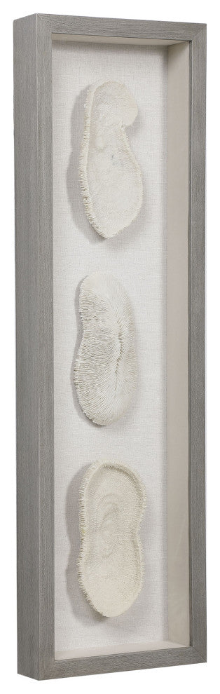 Uttermost White Coral Shadow Box