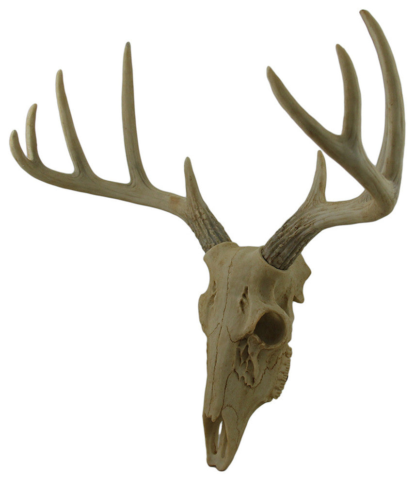 Little Bucky Wall Mounted Faux Aged Finish 10 Point Antlers Deer Skull 15 Inch