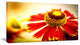 Beautiful Flower on Yellow Background, Flower Artwork on Canvas, 32"x16"