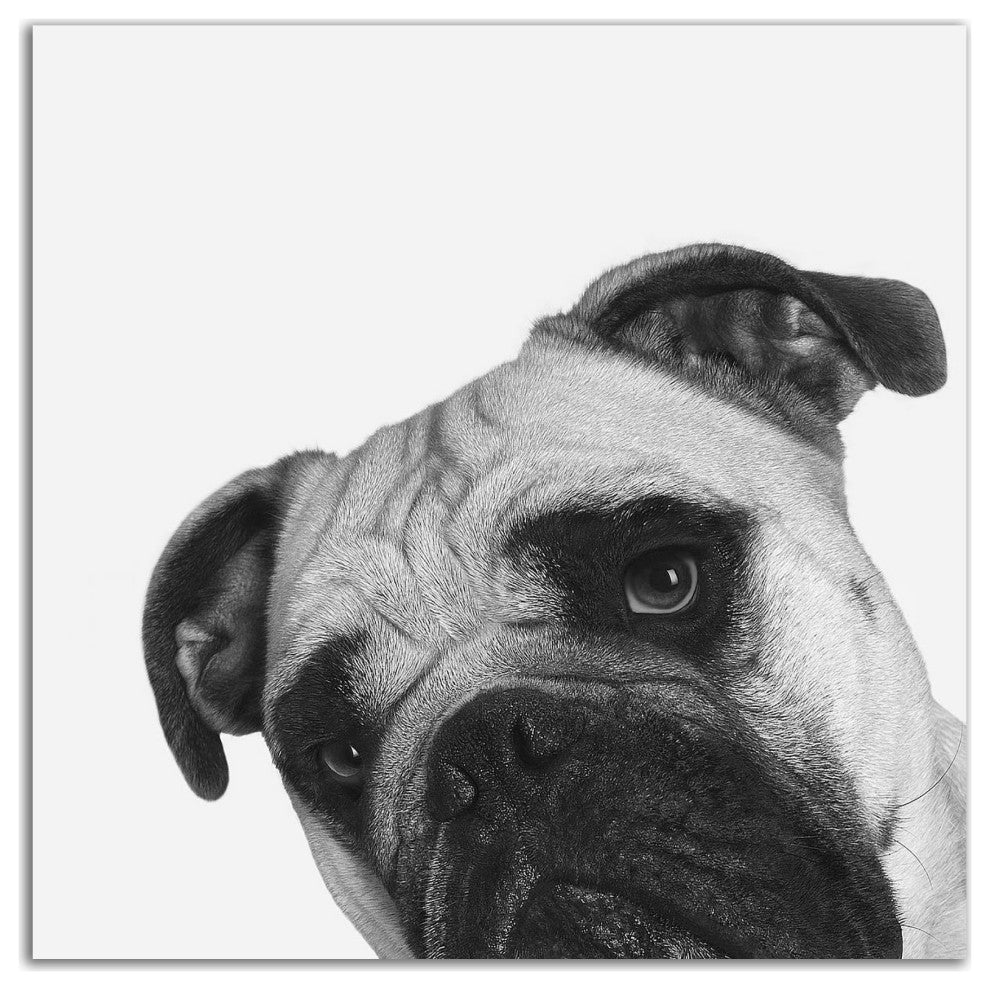 "Que Pasa?" by Jon Bertelli, Print on Canvas, 14"x14"
