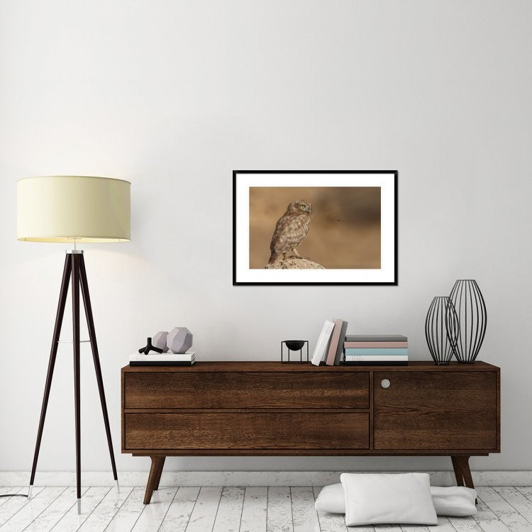 "Owl Vs Bee" Framed Digital Print by Assaf Gavra, 38"x26"