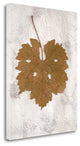 "Floral - 28" By Alan Blaustein, Giclee Print on Gallery Wrap Canvas