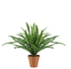 18.5" Potted Artificial Green Boston Fern Plant Spring Decoration
