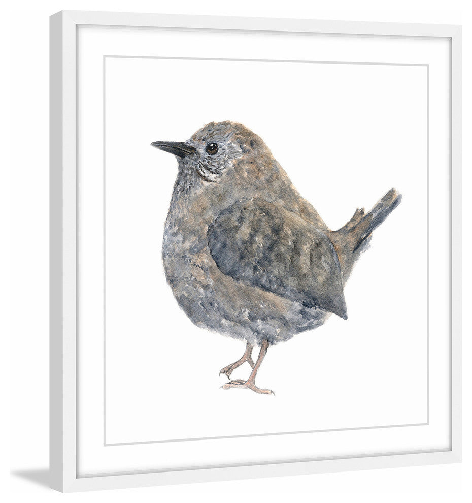 Marmont Hill, "Wren Bird" by Thimble Sparrow Framed Painting Print, 12x12