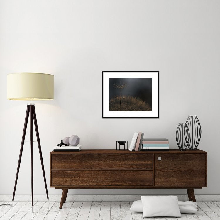 "Standing Toward The Light" Framed Digital Print by Thierry Dufour, 32x26"