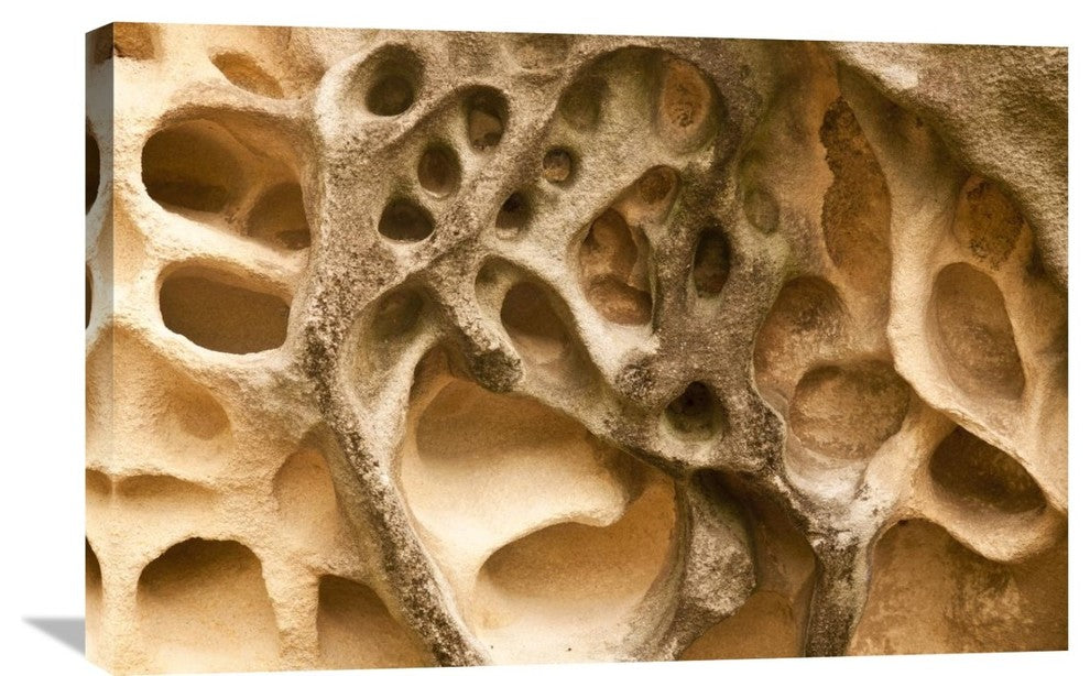 "Cavernous Weathering In Sandstone Rock, Sydney, Australia" Artwork, 30" x 20"