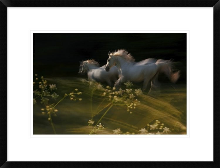"Duel" Framed Digital Print by Milan Malovrh, 26"x20"