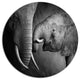 Elephants Showing Affection, Animal Round Wall Art, 11"