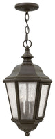 Hinkley Edgewater Three Light Hanging Lantern 1672OZ-LL