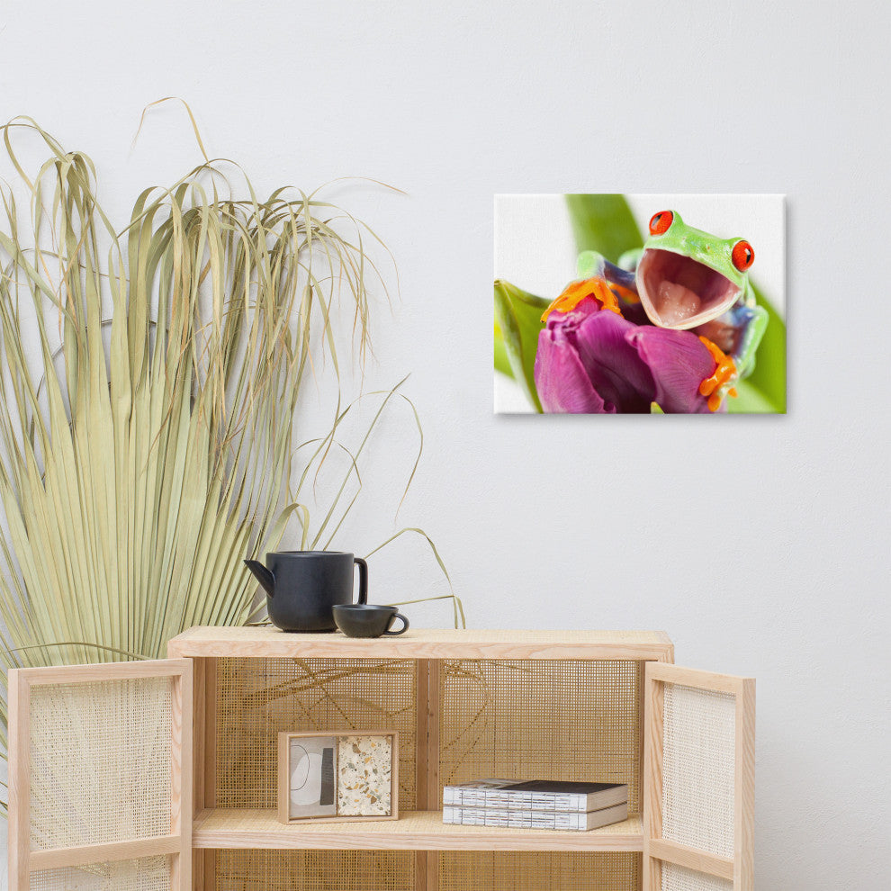 Red Eyed Tree Frog on Purple Tulip Flower Wildlife Photo Canvas Wall Art Print, 18" X 24"