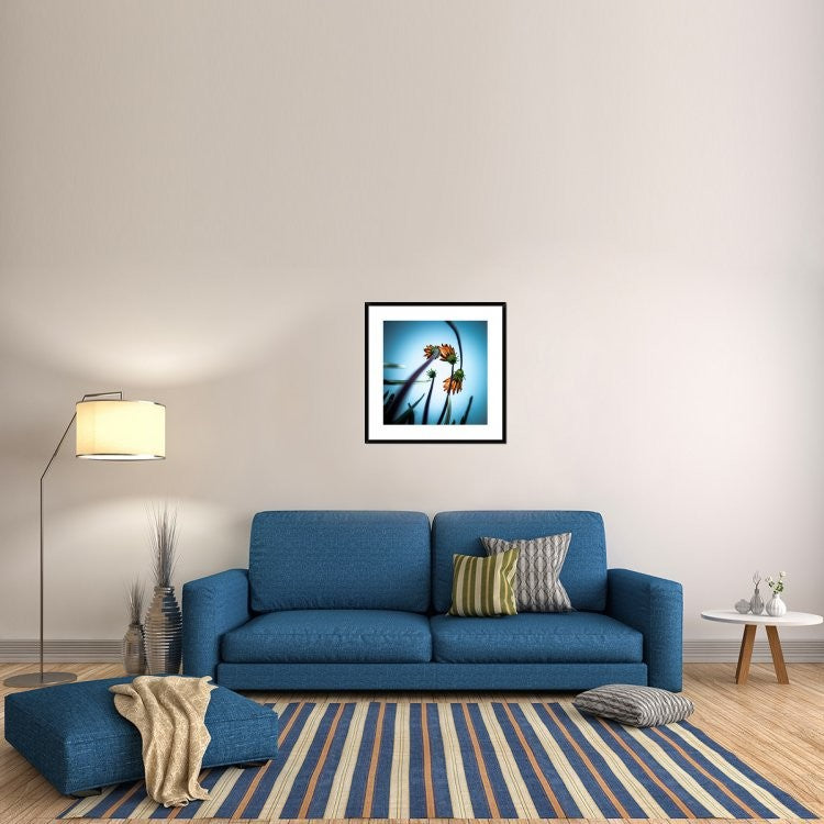 "Flowerlove" Framed Digital Print by Fgr100, 30x30"
