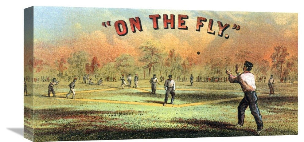 On The Fly, 24"X12"