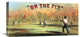 On The Fly, 24"X12"