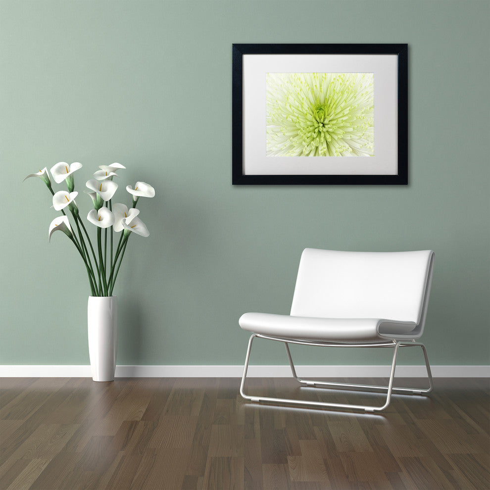 Cora Niele ''Lime Light Spider Mum'' Matted Framed Art