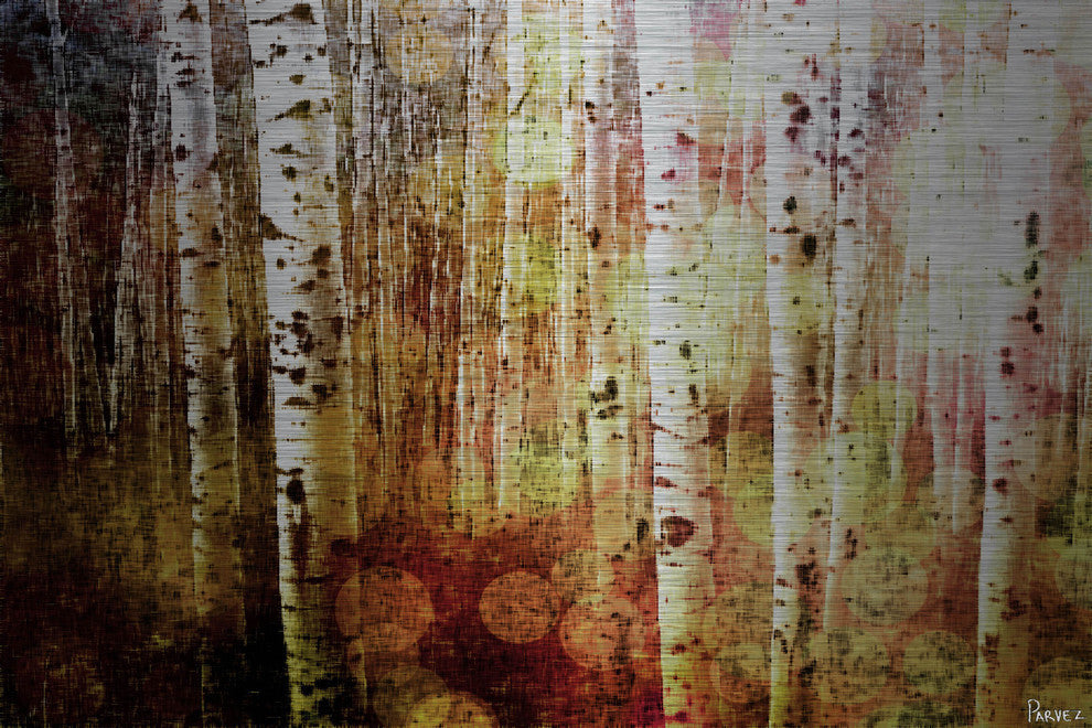 "Aspen" UV Ink Print on Brushed  Aluminum, 36"x24"