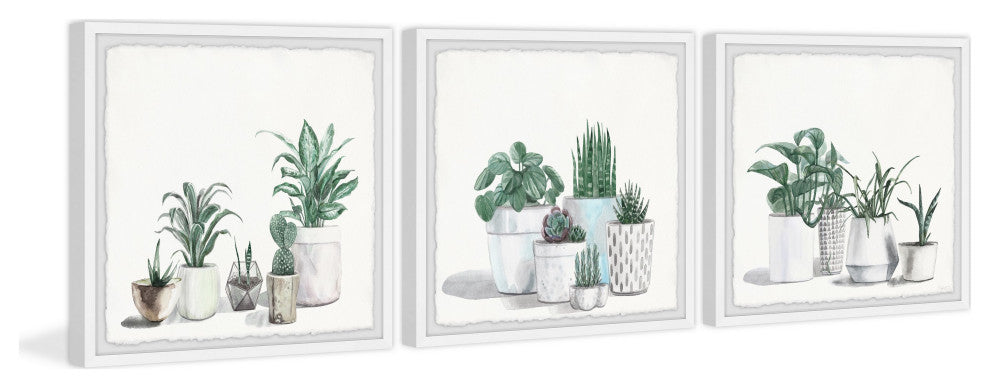 Urban Houseplants Triptych, Set of 3, 24x24 Panels