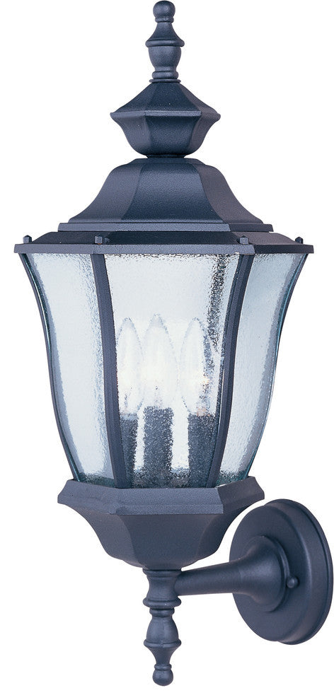 Madrona Cast 3-Light Outdoor Wall Lantern, Black, Seedy