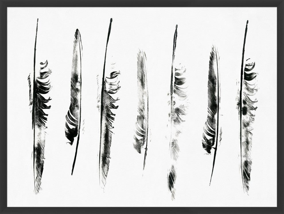 Feathers, Giclee Reproduction Artwork
