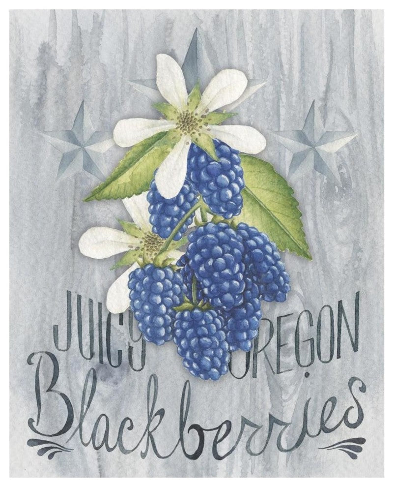 "American Berries IV" Digital Paper Print by Elyse DeNeige, 22"x26"
