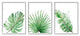Green Leaves Modern Green Tropical Palm Fans ,3pc, each 11 x 14