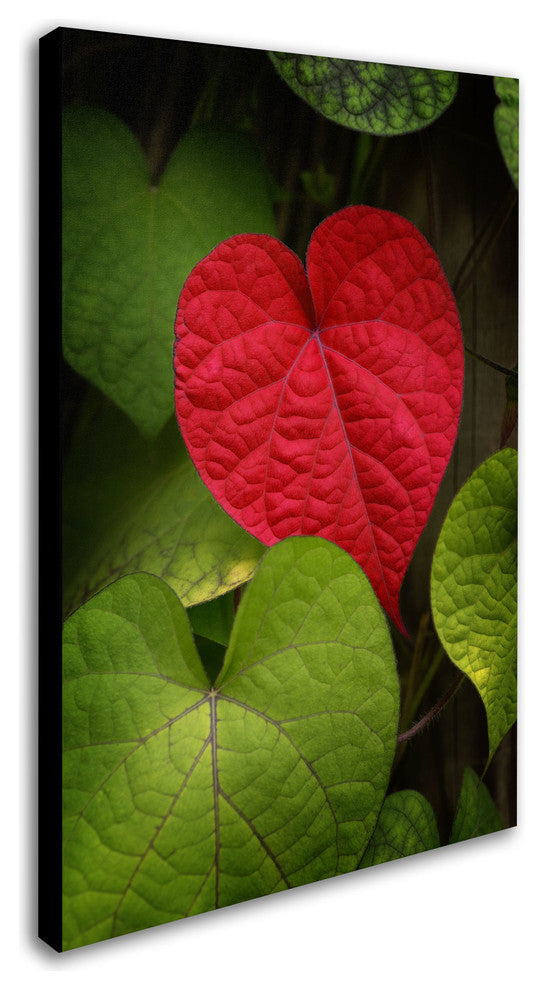 'Heart to Take' Canvas Art by Philippe Sainte-Laudy