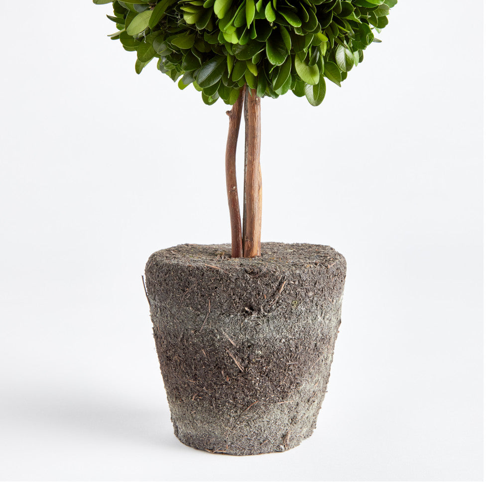 Boxwood Double Sphere Topiary Drop-In, 20"